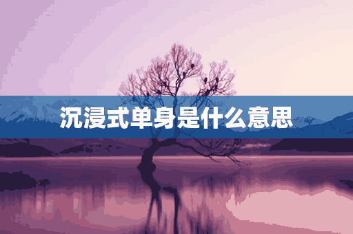 沉浸式单身是什么意思